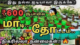 பட்டய கெளப்பும் மாடித்தோட்டம் | கட்டாயம் தெரிஞ்சுக்கோங்க | Start a 𝐒𝐢𝐦𝐩𝐥𝐞 𝐓𝐞𝐫𝐫𝐚𝐜𝐞 𝐆𝐚𝐫𝐝𝐞𝐧 -Ideas