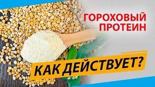 Что будет если пить гороховый протеин каждый день?