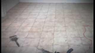 Floor Stripping Concrete Preparation Brisbane