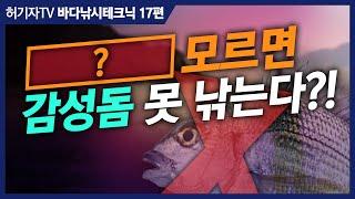 감성돔낚시 최대의 난제 ... "어디에 밑밥을 던져야 할까?" ... 조류 방향에 따른 4가지 품질 매뉴얼