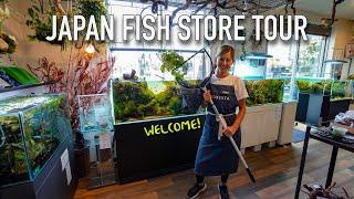 BEAUTIFUL JAPANESE FISH STORE Full Tour!! Aquarium Shop Floresta