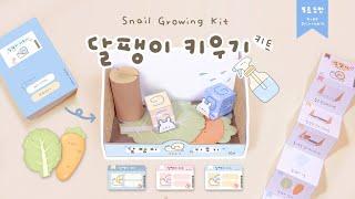 뽀짝뽀짝 달팽이 키우기 Snail Growing Kit ｜무료도안｜FREE PRINTABLE