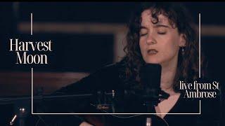 Fritillaries - Harvest Moon (Live)