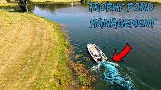 Managing A Trophy Bass Lake Part 1 (ALGEA Removal)