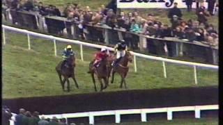 1992 Cheltenham Gold Cup