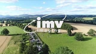 Introducing IMV imaging - the future of veterinary imaging