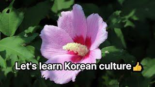 korea culture GoGo