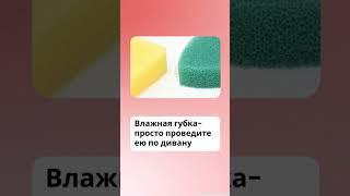 5 лайфхаков против кошачьей шерсти в доме 