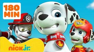 Paw Patrol - La Squadra dei Cuccioli | 3 ore dei MIGLIORI momenti di Marshall! | Nick Jr. Italia