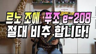 르노 조에 푸조 e-208 저렴하고 좋다고요? 136마력 전기차가 재미있다고요? 절대 추천하지 않습니다!