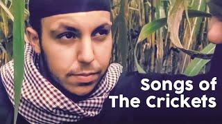 Essam - Songs of the Crickets (Official Video)