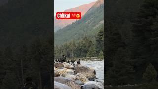 Chitkul ️ #chitkul #trendingshorts #viralvideo #mountains #lastvillageofindia #roadtrip #shorts