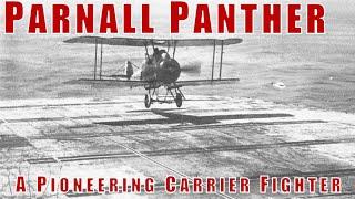 The Parnall Panther Pioneered Carrier Aviation In The UK, US And Japan