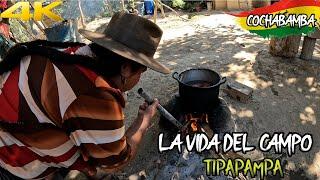 La VIDA del CAMPESINO en BOLIVIA -  Cochabamba sector de TIPAPAMPA