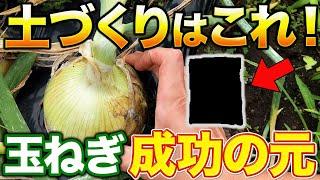 【土は基礎が大事！】大きい玉ねぎを作るためには〇〇を入れてください