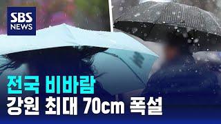 전국 비바람…강원 최대 70cm 폭설 / SBS