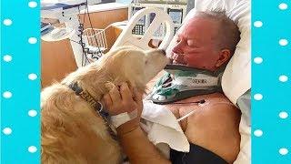 The Most Loyal Dogs- Dogs Really love their Owners Compilation|| Funny Everyday Compilation