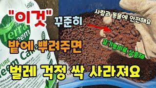 비싼 토양살충제 사서 쓰지 말고 "이것" 밭에 꾸준히 뿌려주면 벌레 걱정 싹 사라집니다 인축에 안전하고 해충퇴비 살균 비료효과도있어요