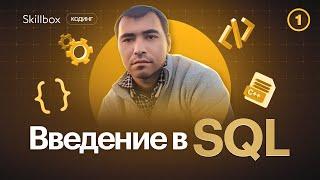 Что такое SQL и как с ней работать? Основы базы данных для новичков.