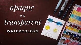 Opaque vs Transparent Watercolor Tutorial For Beginners