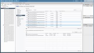 VMware vSAN: Scale Up Storage Capacity