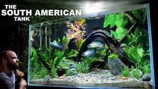 The South America Tank: EPIC Aquascape Tutorial w/ Electric Blue Acara