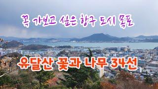 숲속여행 - 12월 목포 유달산 꽃과 나무 34선