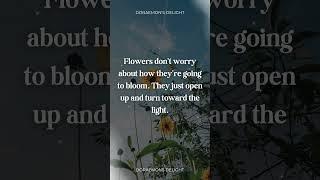 Bloom Like a Flower  #Motivation #Growth #inspiration #shorts