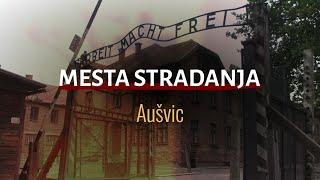 Mesta stradanja: Aušvic