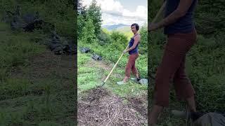 Wild Abundance Gardening School weeding with the hand forged scuffle hoe from Homestead iron lifetim