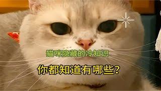 猫咪隐藏的冷知识，你都知道有哪些！