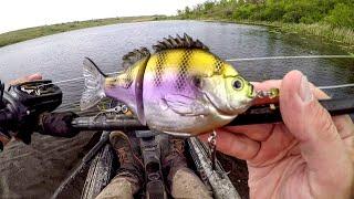 Fishing A Bluegill Lure For Lake Monsters!