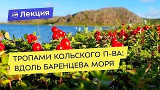 Тропами Кольского полуострова: поход по Териберке и Дальним Зеленцам вдоль Баренцева моря