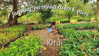 farming, perennial rivers & more | Kitui vlog