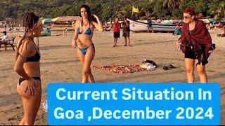 Arambol Beach December 2024 / Current Situation In Goa 