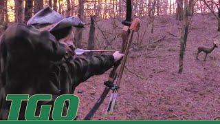 Traditional Archery Beginner Buyers Guide Deep Dive | Tex Grebner Outdoors