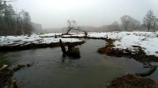 My day in a minute || 16.02.2019 || Roztocze, Poland || Beaver and wooden dams, dry pond and more