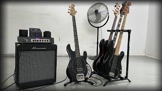 AMPEG Portaflex PF-50T & PF112HFL - 4 Basses Comparison