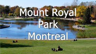 Exploring Mount Royal Park: A 4K Ultra HD Tour of Montreal