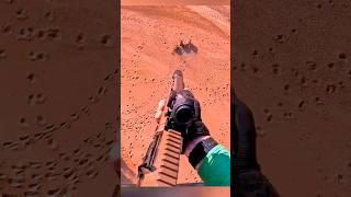 Меткий выстрел на охоте: Кабан повержен! #охота #pigs #wildpigs