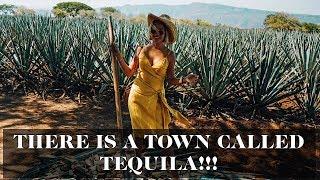 Visiting Tequila, Mexico (YES, IT'S REALLY A TOWN!) | Laureen Uy