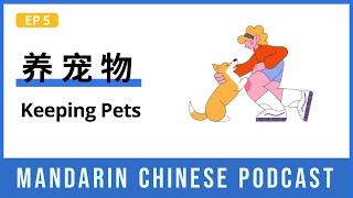 HSK 5/6 | 养宠物 Keeping Pets | Mandarin Chinese Podcast 5 | Chinese Listening Intermediate