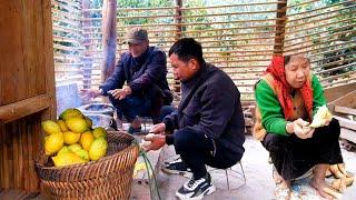 Ben's Son Helps Harvest Wild Lemons to Sell, Cooks Lunch | Farmer Family