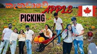 A Day in Canada: Apple Picking & Salmon Run  |English Subtitles| කැනඩාවේ ඇපල් වත්තක් බලන්න යමු 