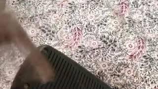Great easy to clean brush! | PuppySimply