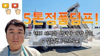 5톤덤프 중고 덤프트럭 현대 정품 2019년식을 매입하였습니다.