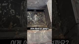 톱밥이 고급 가구로 변하는 MDF 기술