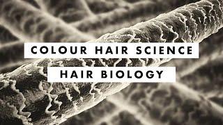 Colour Hair Science - Hair Biology