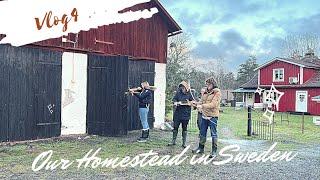 The end of 2022 // Our Homestead in Sweden Vlog 4 // Maeryela