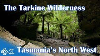 Exploring The Tarkine & North West Tasmania | Black River Camp, Tarkine Drive & Auther River